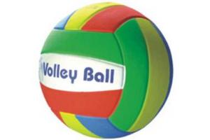 BOLA EVA VOLLEY BALL